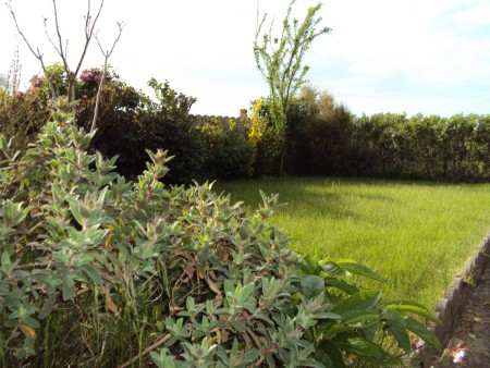 jardin